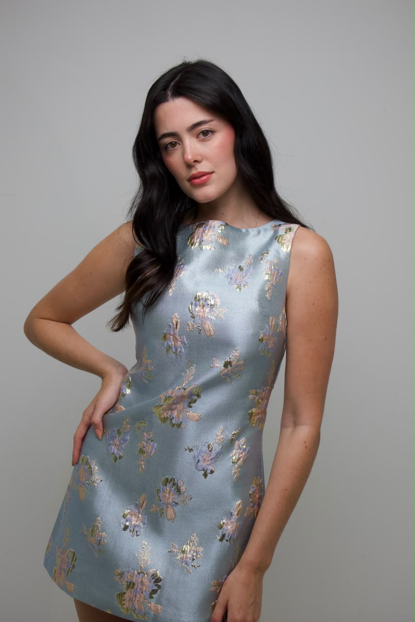 Carlotta Dress
